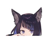 BLKUOPAR 5.1 pulgadas para Anime Fox Girl Calcomanías de vinilo impermeables para parachoques para ventana trasera, tronco, portátil, guitarra, botella de agua, decoración
