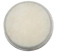 Blmirror Piel de Animal Artificial de 10 Pulgadas Tambores de 27,5 Cm de DiáMetro Piel Redonda para Tambores de/Tambores de ChamáN/Pandereta Africana Beige