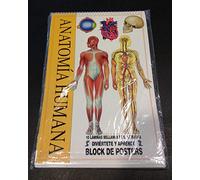 block de posters anatomia humana (99)(10 laminas)