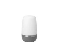 Blomus - Spirit Portable Lámpara Exteriores L Warm Gray