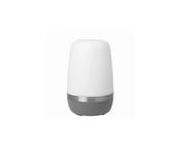 Blomus - Spirit Portable Lámpara Exteriores XL Warm Gray