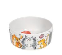 Blond Amsterdam Dier Cat - Cuenco de cerámica con ilustraciones de gatos, ideal para croquetas, paté o leche, regalo para amantes de los gatos