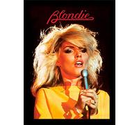 Blondie (Heart of Glass 30 x 40 cm Objeto Recuerdo