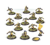 Blood Bowl - Equipo Goblin: Scarcrag Snivellers