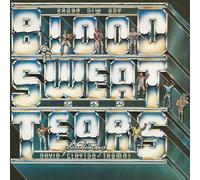 Blood Sweat and Tears - Brand New Day