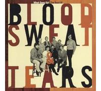 BLOOD SWEAT & TEARS - WHAT GOES UP! THE BEST OF (2CD)