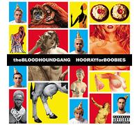 Bloodhound Gang - Hooray For Boobies