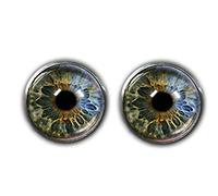 Bloody devil Gemelos de ojo, gemelos de cristal, ojos humanos realistas, gemelos góticos steampunk, gemelos anatómicos, Metal