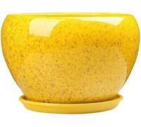 BLOOHK Maceta Grande de cerámica Amarilla China con Bandeja, macetero orquídeas Transpirable esmaltado Vintage, Exquisita Maceta for Interiores y Exteriores, balcón decoración del hogar(16cm)