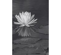 Bloom in Still Waters: Water Lily Journal: Floral Writing Notebook with Elegant Black & White Art Cover