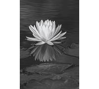Bloom in Still Waters: Water Lily Journal: Floral Writing Notebook with Elegant Black & White Art Cover
