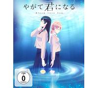 Bloom Into You - Volume 3 (Episode 9-13) im Sammelschuber [DVD]