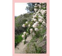 Bloom Journal: Aesthetic Floral Notebook for Writing, Planning, Ideas, Notes & Everyday Organization