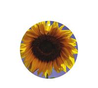 Bloom - Juego de ambientador colgante de girasol, tarjetas redondas de fragancia de lavanda para interiores de automóviles, paquete de 10/24 tarjetas
