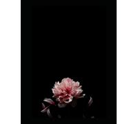 Bloom With Grace: A Classy Notebook & Monthly Planner