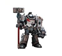 Bloomage Joytoy Tech - Joytoy Warhammer 40,000 Grey Knights Terminator Caddon Vibova 1/18 Figura (Net)