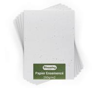 Blooming Papel sembrado - Lote de 25 hojas para plantar - Tamaño A5 250 g/m2 - 15 x 21 cm - Blanco virgen - Semillas de flores silvestres biodegradables - Tarjetas, invitaciones, impresiones