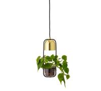 Bloomingville - Gullak Plant Lámpara Colgante Gold