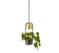 Bloomingville - Gullak Plant Lámpara Colgante Gold