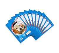 Bloque de la escuela Landre 100050473, A5, 50 hojas, descartando 2, para todos los escritos de salida de 80 g / m² finas, papel de escritura libre de madera pegados en la parte superior, con el agujero 10-pack