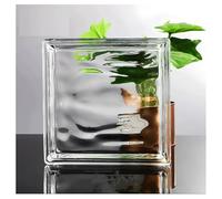 Bloque de vidrio cuadrado hueco transparente 190 x 50 mm(Clear-d)