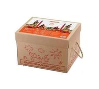 Bloques de construcción cartón 170