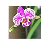 Bloques de construcción de rompecabezas de ladrillo vibrante para diversión creativa, decoración de escritorio, impresión de orquídeas