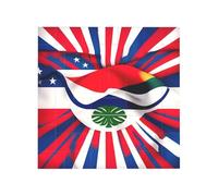 Bloques de construcción de rompecabezas de ladrillo vibrante para diversión creativa, decoración de escritorio, impresión de bandera de Costa Rica