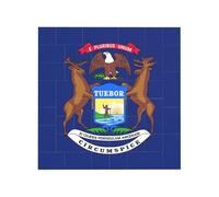 Bloques de construcción de rompecabezas de ladrillo vibrante para diversión creativa, decoración de escritorio, impresión de la bandera del estado de Michigan