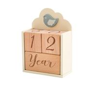 Bloques mensuales para bebés, bloques de punto de referencia de crecimiento de madera, accesorios de fotografía, sesiones de fotos, bloques de registro de nacimiento para niños pequeños, desarrollo