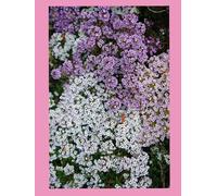 Blossom Notes: A Floral Journal for Daily Writing, Creative Ideas, Planning, Reflection, Mindfulness, and Personal Growth