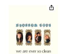 Blossom Toes - BOSSOM TOES-WE ARE EVER SO CLEAR
