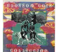 Blossom Toes - Collection [2xVinyl]