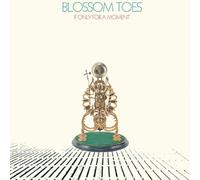 Blossom Toes - If Only For A Moment [VINYL] [Vinilo]