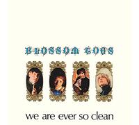Blossom Toes - We Are Ever So Clean - 3CD