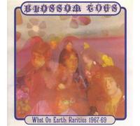 Blossom Toes - What on Earth: Rarities 1967-1969