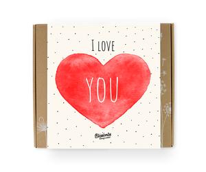 Blossombs Bombas de semillas - Set de regalo mediano "Te quiero" (9 uds.) - os alegrará a ti y a la naturaleza