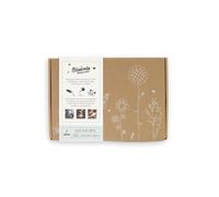 Blossombs Caja de regalo de semillas Pequeña con 7 Bombas De Flores: Sembradores, Flores Silvestres, Mezcla de Semillas de Flores, Regalo Floral para Mariposas, Abejas y Abejorros