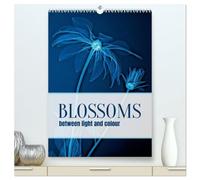 Blossoms between light and colour (High Quality Premium Wall Calendar 2027 DIN A2 portrait),CALVENDO 12 Month Wall Calendar: An unusual depiction of familiar plants.