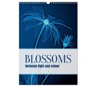 Blossoms between light and colour (Wall Calendar 2027 DIN A3 portrait), CALVENDO 12 Month Wall Calendar: An unusual depiction of familiar plants.