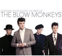 Blow Monkeys - Digging Your Scene: Best