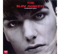 BLOW MONKEYS - FORBIDDEN FRUIT 12 inch (12" Vinyl) UK RCA 1985