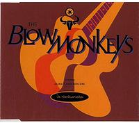 Blow Monkeys - La Passionara