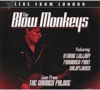 The blow monkeys - Live from london