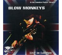 Blow Monkeys-Live in London [DVD]