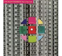 Blow Monkeys - This Is Your Life