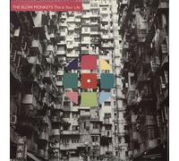 Blow Monkeys - This Is Your Life