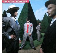 Blow Monkeys - This Is Your Life