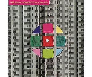 Blow Monkeys - This Is Your Life