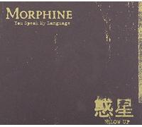 BLOW UP+You Speak My Language